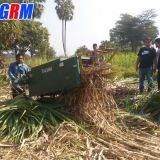 Factory Supplying Best Price Sugarcane Leaf Remover / Sugarcane Cleaning Stripping Machine