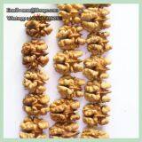 Various Sizes Walnut Kernels Supplier First Quality Walnut Kernel thumbnail-5