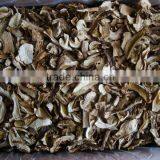 Dried Boletus Edulis