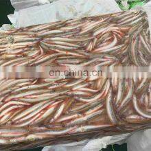 Good Price Frozen Sand Lance Whole Round thumbnail-2