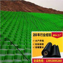 TGGS75-400 Geocell Perforated Honeycomb Geocell Hybrid Retaining Wall thumbnail-2