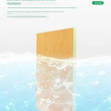 Manufacturer of New Environmentally Friendly Flame-retardant Wall Panels, Ice-fire Boards, Waterproof and Antibacterial Clean Boards thumbnail-2