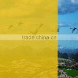 Light Orange Glass Window Film for Building Decoration With High UV Rejection