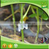 New Type Flower Grafting Clips/plant Clamp/plant Clip