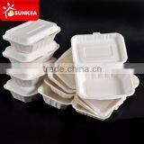 Takeaway Bagasse Food Lunch Boxes