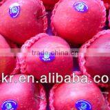 Fresh Fruits Red American Apples thumbnail-1