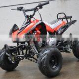 Hot Sell CE Good Quality Automatic 125cc ATV Quad thumbnail-5