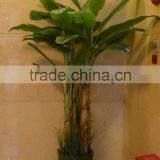 Corridor Decor Large Artificial Taro Plant thumbnail-4