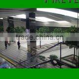 Artificial Yulan Magnolia Tree/high Simulation Lotus Magnolia/ Fake Yulan Magnolia Trees/Big Yulan Magnolia Trees