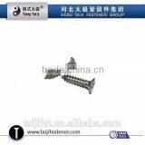 Countersunk Head Self Tapping Screw thumbnail-5