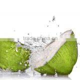 Coconut Water With Pineapple Juice thumbnail-2