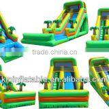 Giant Inflatable Water Slide With Pool Bumper Palm