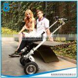 Large Short Range Self Balancing Electric Chariot Used by Lots of People