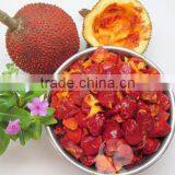 Gac Fruit Oil Capsules-Improve Eyesight, Anti Cancer, Anti Aging thumbnail-2