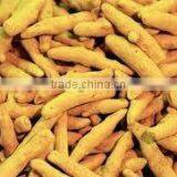 A GRADE TURMERIC FINGER thumbnail-1