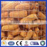 Welded Wire Mesh Roll / Welded Wire Mesh / Weled Wire Mesh Panel thumbnail-5