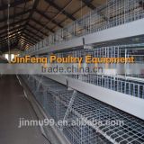 automatic Broiler Chicken Cage for poultry farm