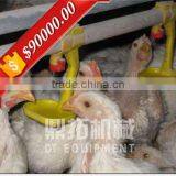 Automatic Manure Removal A Type Used Chicken Cage for Sale in Philippines