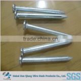 steel concrete nail fluted Shank