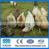 Chicken Wire Netting/pvc Coated Chicken Wire Mesh/pvc Coated and Galvanized Hexagonal Wire Mesh thumbnail-1
