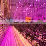 Pipe for Hydroponic Growing thumbnail-1