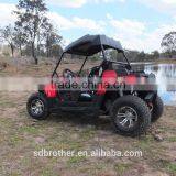 China Utv 2x4 thumbnail-1