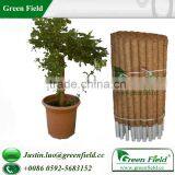 Garde Plant Support (Coconut Pole) thumbnail-1