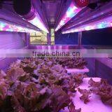 Cheap T8 20w Led Grow Tube for Vertical Seeding Tissue Culture thumbnail-1