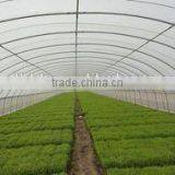 Baolida Single Span Green House thumbnail-5