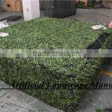 Outdoor Artificial Boxwood Hedge Hot Sale With Milan Grass for Decoration thumbnail-3