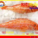 FROZEN RED MULLET WHOLE ROUND thumbnail-1