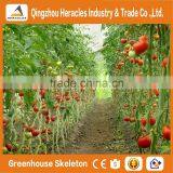 Heracles Trade Assurance Agricultural Greenhouse for Tomato thumbnail-1