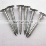 Galvanized Clout Nails With Flat Head/ Clout Nail Roofing Nails thumbnail-3
