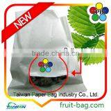 Small Bag Taiwan Factory Wax Apple Protection Paper Bag Custom Packaging Bag thumbnail-2