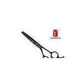 440C Stainless Steel Professional Sharpening Hairdressing Scissors / Stylist Shears