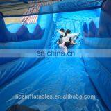 PVC,PVC Tarpauline Material and Slider,Castle Type Big Water Slide Pool thumbnail-3