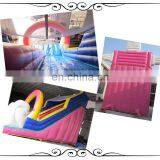 Popular Theme Park Slides, Cat Inflatable Bouncy House, ,inflatable Castle thumbnail-3