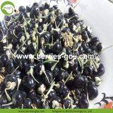 Factory Hot Sale Dried Black Wolfberry thumbnail-2