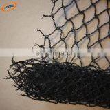 Anti Bird Plastic Clear Stretch Netting For Fruit Protection