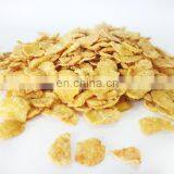 Full Automatic Small Breakfast Cereal Production Line Corn Flakes Making Machine Price Snack Food Machinery thumbnail-6