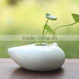 2015 Hot Ceramic Mini Square Flower Pots Ceramic Animal Plant Pot thumbnail-1