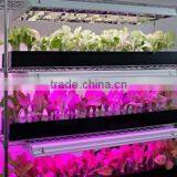 HL-G80A Led Grow Lights for Plants thumbnail-1