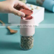 Wholesale 2021 New Arrival Custom Logo Modern 100ml Glass Onion Manual Pepper Grinder thumbnail-4