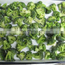 China Supplier of Premium Quality Frozen Broccoli Cuts thumbnail-5