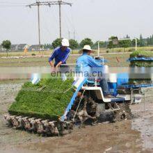 Manual Portable Rice Planting Machine/paddy Planter/high Speed Rice Planter thumbnail-3