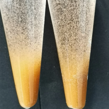 China Supplier Artemia Cysts BBS Brine Shrimp Eggs Bohai Bay Eggs 100% Pure Natural Fish Feed thumbnail-4