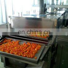 Egg Powder Processing Egg Yolk Drying Machine thumbnail-3
