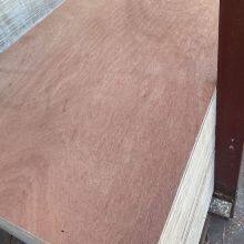 1220*2440 Водонепроницаемая строительная меламиновая коммерческая штамповочная фанера thumbnail-4
