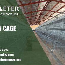 4-Tier Layer Battery Cage System Poultry Farming Cage Solution for Lagos Nigeria thumbnail-5