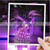 Express ce RohsDC12V/24v RGBW Color Tape LED Strip Light thumbnail-4